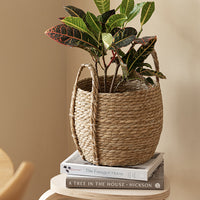 Handwoven Seagrass Flower Basket with Handle