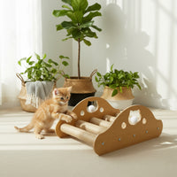 Litter-Cleaning Ramp Stable Construction Pet Furniture Climbing Play