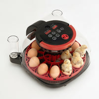 Digital Egg Hatcher Transparent Tabletop Hatcher with Water Cup Compact for Hobbyists, Educators, Home Hatching, Classroom