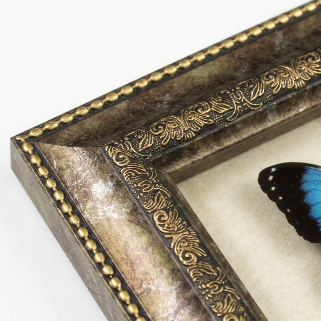 Shadow Box Wall Decor, Deep Shadow Box Butterfly Art, Ornate Picture Frame, Vintage Display Box, Entomology Collector Gift