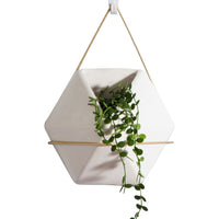 Plant Pots and Hanging Basket for Flower Pots, Modern Nordic Wall Decor for Home Office, Geometric Wall Planter with Rope Plant Hanger, 1 Pack