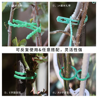 Garden Plant Labels and Ties for Horticulture