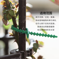 Garden Plant Labels and Ties for Horticulture
