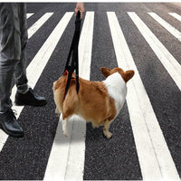 Dog Support Harness for Injured or Disabled Pets - Adjustable Lifting Sling for Mobility Assistance and Rehabilitation