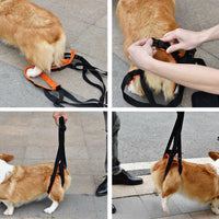 Dog Support Harness for Injured or Disabled Pets - Adjustable Lifting Sling for Mobility Assistance and Rehabilitation