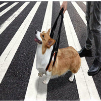 Dog Support Harness for Injured or Disabled Pets - Adjustable Lifting Sling for Mobility Assistance and Rehabilitation