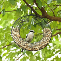 Peanut Circular Feeder Easy to Hang Hanging Peanut Bird Feeder Circular for Patio