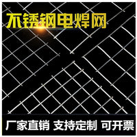 304 Stainless Steel Welded Wire Mesh for Fencing, Balcony Protection, Rodent & Theft Prevention