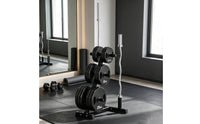 Barbell Plate Rack Triangular Barbell Plate Rack with Holders Space-Saving for Home Gym Owners