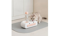 Spill Proof Automatic Pet Feeder Waterer Food-Safe Safe Double Bowl Pet Feeder Large Capacity Weighted Water Food Station Non-Slip Base for Small Dogs