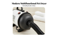 Low Noise High Velocity Pet Dryer Quick Dry Dog Hair Force Dryer Adjustable Heat Setting Heated Grooming Blower Stepless Speed Control for Large Dogs