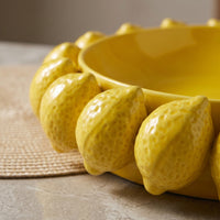 Bowl with Lemon Rim Shallow Fruit Bowl Tableware Versatile Cute for Dining Table, Living Room