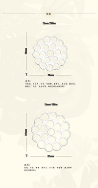 Universal Transparent Flower Arrangement Fixer with Spiral Base