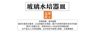 鱼缸玻璃圆形办公桌绿萝水培家用小鱼创意透明小型迷你桌面乌龟缸 中号龟缸+彩石六件套