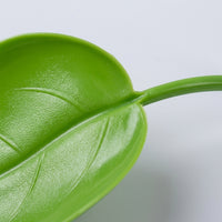 Realistic Oval Foliage Basking Ledge for Climbing Reptiles, Water-resistant Habitat with 5cm Suction Cup, Resting Spot for Tree Frogs and Reptiles