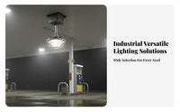 IP65 Rated LED Blast-Resistant Proof Light Dustproof Waterproof Workshop Light Long-Lasting Construction for Null
