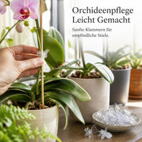 Orchid Plant Support Clips for Stems and Vines, Clear Plastic Garden Clips for Phalaenopsis