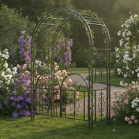 European Style Metal Garden Arch with Gate for Climbing Plants