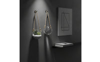 2 Pieces Contemporary Design Wall Mounted Hydroponic Vase Easy to Install Egg Shape Glass Plant Holder Multi Use Clear Hanging Flower Pot