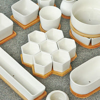 Minimalist White Ceramic Succulent Planter Pots with Optional Wood Trays