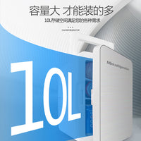 10L Portable Car/Home Mini Fridge for Cosmetics and Food Storage