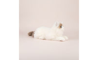 Cat Stuffed Toy Realistic Stuffed Cat Adorable for Bed