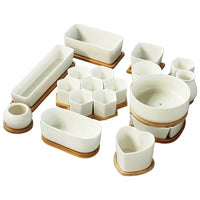 Minimalist White Ceramic Succulent Planter Pots with Optional Wood Trays