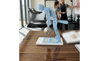 Movable Joints Spine Example ABS Material Lifting Posture Model Blue Support Example Segmented