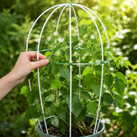 Fiberglass Plant Support Stakes for Garden Flowers and Climbing Vines
