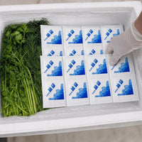 Self-Absorbing Ice Pack Bags for Food Preservation and Cold Chain Transport