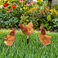 3 Pieces Chicken Garden Stake Weatherproof Acrylic Chicken Stake Decorations Waterproof Farmhouse for Gardeners, Lawn
