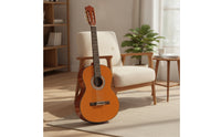 Classical Guitar Glossy Nylon String Guitar Wood-Grain Nylon String Set for Beginners, Casual Guitarists