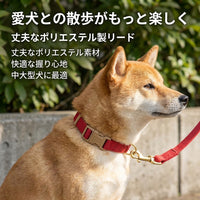 Dog Leash and Collar Set, with Reflective Material, 2.1m Long Leash, Size S, for Daily Walks, Also for Night Use