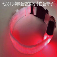 USB Rechargeable LED Luminous Pet Collar for Small to Large Dogs