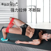 Yoga Resistance Bands for Squats, Leg Training, Non-Slip Loop Exercise Bands, High Elasticity