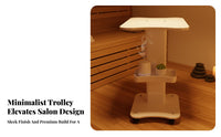 Aesthetic Instrument Trolley Silent Universal Wheels Esthetician Trolley Cart Mobile Spa Cart Thickened ABS Panel