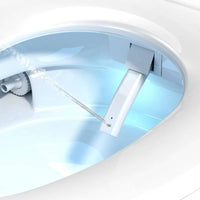 toilet Seat Cover Elongated toilet Seat for Homeowners, Families, Bathroom