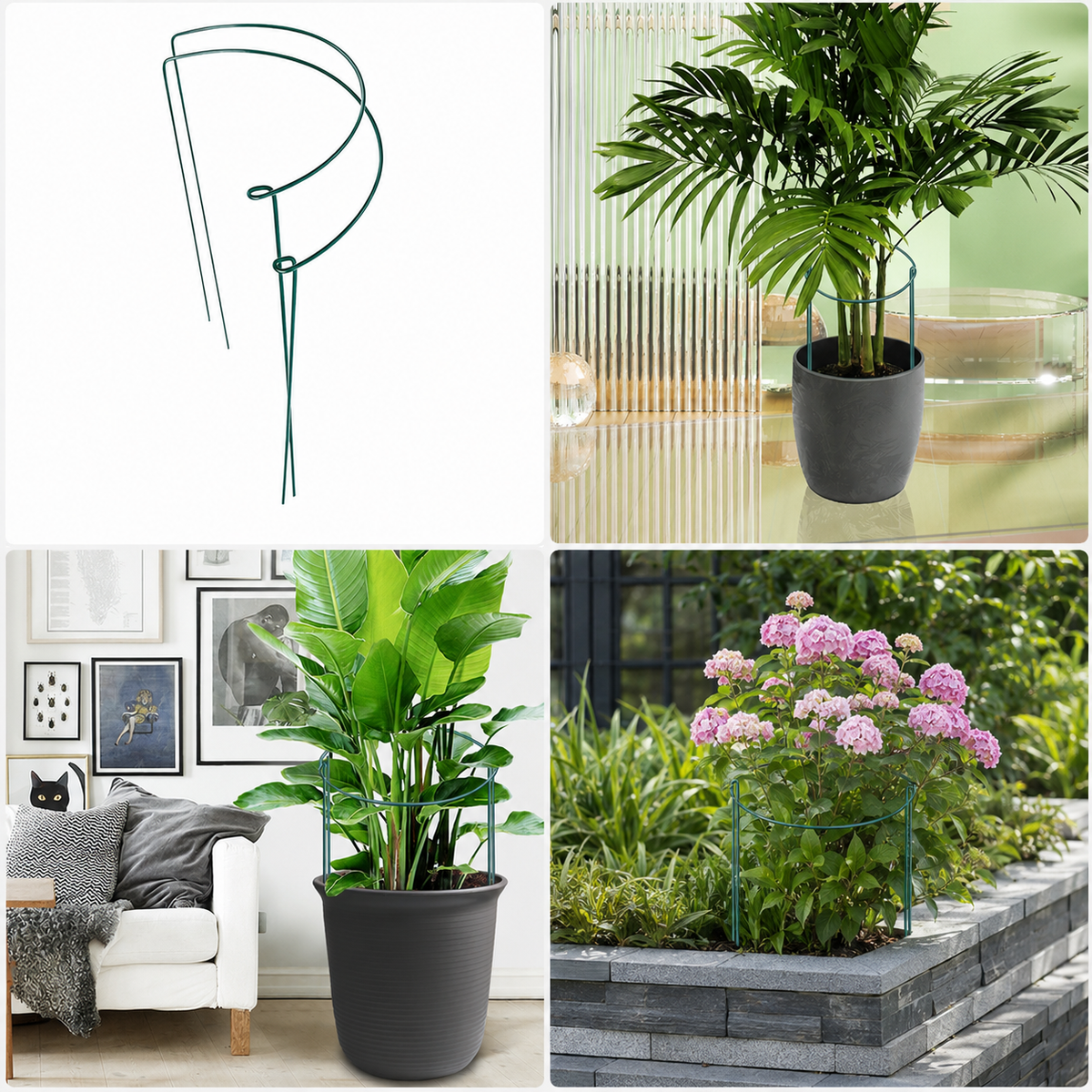 Iron Art Half-Round Plant Support Stakes for Climbing Plants, Orchids, Hydrangeas, and Roses