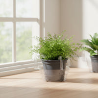 5 Pieces Clear Hanging Plant Tray with Hooks Transparent Hanging Basket Saucer with Hooks Plastic Lightweight for Gardeners, Patio, Porch