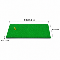 Golf Practice Tool, Golf Practice Mat, Indoor/Outdoor, 30cm x 60cm, Swing Practice, Artificial Turf, Rubber Base