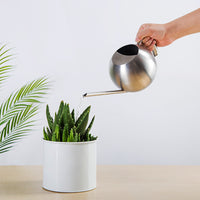 Stainless Steel Long Spout Watering Can for Indoor Plants & Succulents, 1 Liter