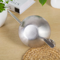 Stainless Steel Long Spout Watering Can for Indoor Plants & Succulents, 1 Liter