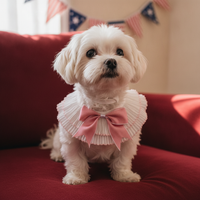 Pet Cat Dog Lace Bowknot Flower Pearl Saliva Towel Collar