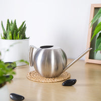 Stainless Steel Long Spout Watering Can for Indoor Plants & Succulents, 1 Liter