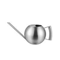 Stainless Steel Long Spout Watering Can for Indoor Plants & Succulents, 1 Liter