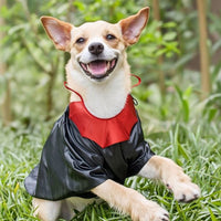 Dog Cape with Collar Black Canine Cape Glossy for Dogs, Pets
