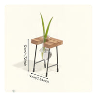 Minimalist Design Glass Bulb Planter with Wooden Stand Crisp Design Hydroponic Vase Stand Easy to Assemble Plant Propagation Station Observe Rooting for Bookshelf