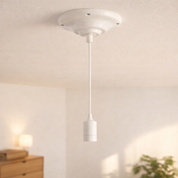Ceiling Rose for Ceiling Lighting and Pendant Light Fitting, E27 Lamp Holder with Ceiling Plate, 250V Ceramic Porcelain, 210°C Heat Resistant