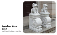 2 Pieces Traditional Marble Door Pier Auspicious Symbol Chinese Door Drum Statue Finely Detailed Carved Stone Gate Protector for Villa Owners