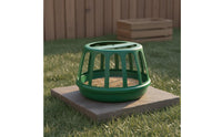 Chicken Feeder Easy to Clean Bird Feeding Trough Hygienic Farm Equipment Supplies for Farmers